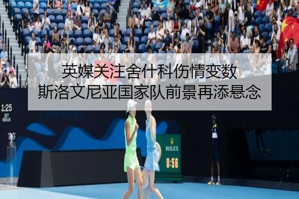 英媒关注舍什科伤情变数 斯洛文尼亚国家队前景再添悬念（YYSports）