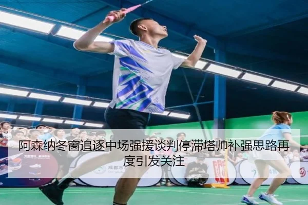 阿森纳冬窗追逐中场强援谈判停滞塔帅补强思路再度引发关注 | YYSports